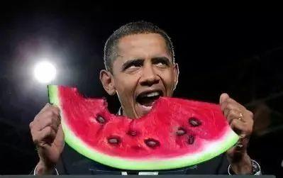 吃瓜人姿势,揭秘吃瓜人的独特姿势与趣味生活  第2张